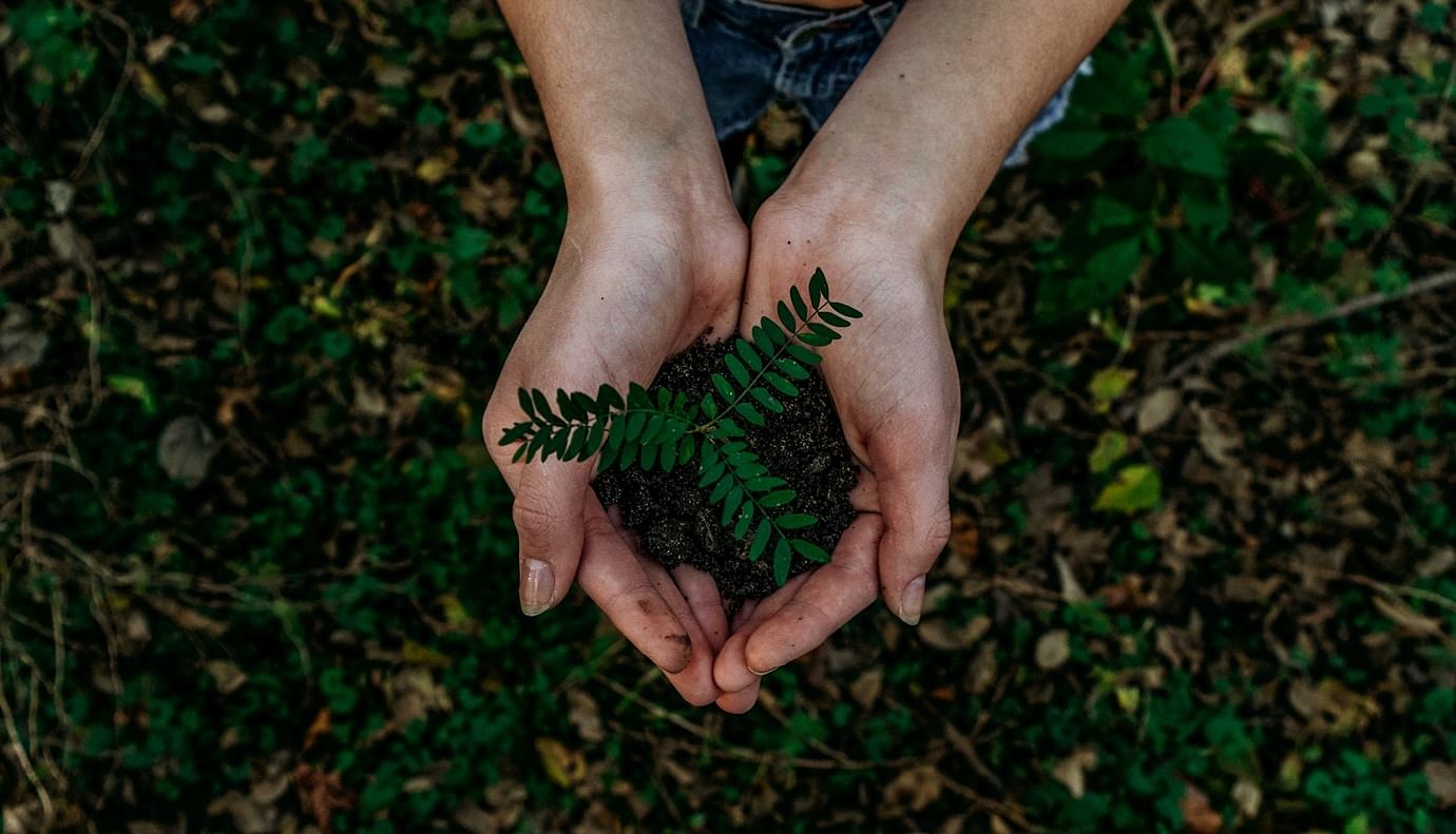 Living Planet-Friendly: 10 Simple Ways To Live Sustainably 